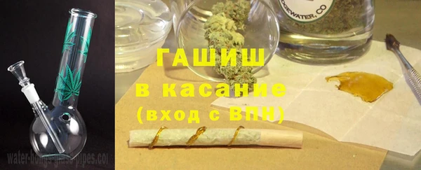 стаф Козловка