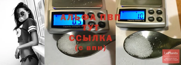 стаф Козловка