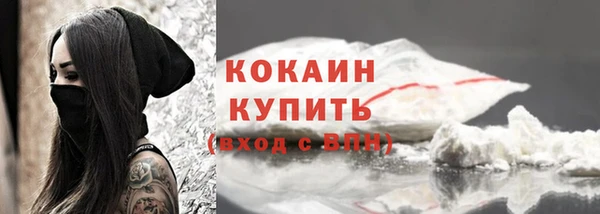 стафф Кодинск