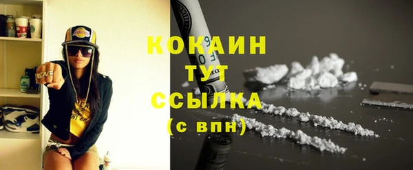 стаф Козловка