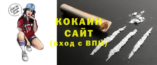 стафф Кодинск