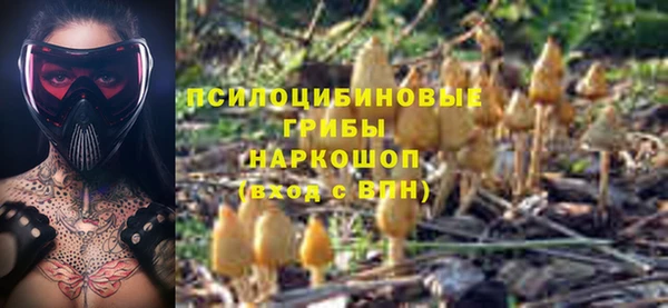 МДПВ Киренск