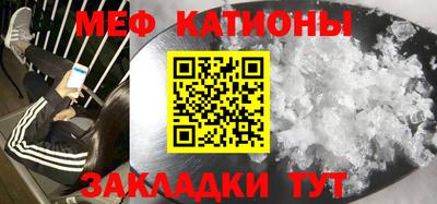 прущие грибы Гусев