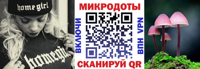 Псилоцибиновые грибы Cubensis  Лесосибирск 